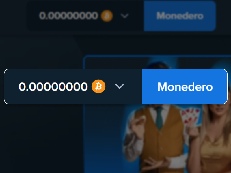 Acceso al monedero en la cuenta Stake